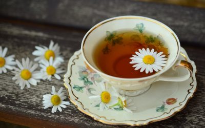 What is a Herbalist?