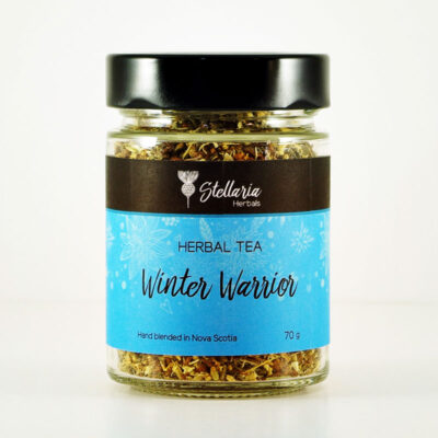 Winter Warrior Tea Stellaria Herbals